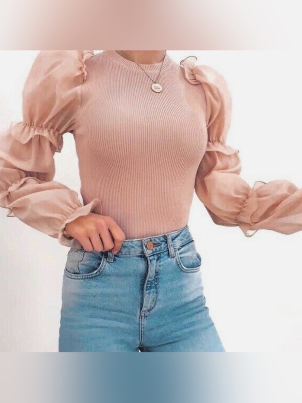 Zara Organza Knit Top